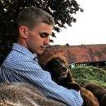 josh kelly - Instagram Profile Picture of josh kelly (@joshkellyyy) on Instagram