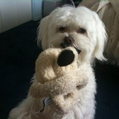 Profile Picture of Tobie (@townsend_mike) on Twitter