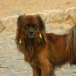 Profile Picture of John Quigg (@johnquigg2) on Tiktok