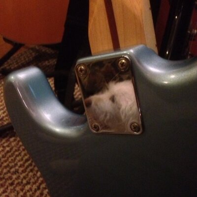 Profile Picture of Steven Rosner (@rosner_steven) on Twitter