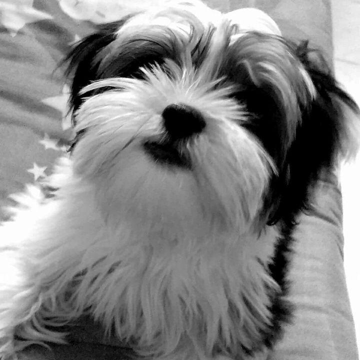 Profile Picture of Kenneth_Brian_01 (@remobrian01) on Tiktok