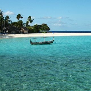 Gilbert Infante - Facebook Profile Picture of Gilbert Infante (@gilbert.infante.142) on Facebook