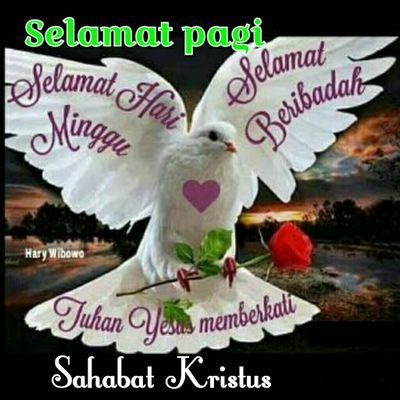 Alexander Jaya - Twitter Profile Picture of Alexander Jaya (@AlexanderJaya3) on Twitter