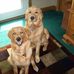 Profile Picture of Debbie Beaudry (@debbie.beaudry.52) on Facebook