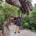 Profile Picture of Ricardo Zubiate (@ricardo_zubiate1) on Instagram