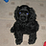 Profile Picture of Andrea Campbell (@daveandandrea) on Flickr