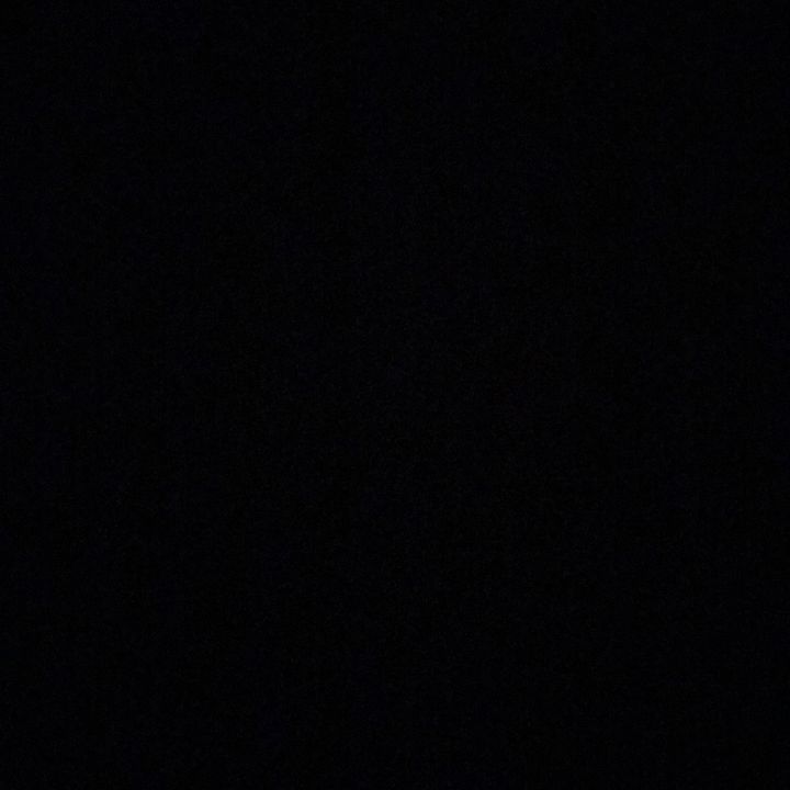 Profile Picture of zelda (@zelda_molitor) on Tiktok