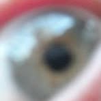 Profile Picture of Paula Terranova (@pterranova1) on Facebook