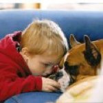 Pamela Mueller Shearer - Instagram Profile Picture of Pamela Mueller Shearer (@pamelashearer) on Instagram