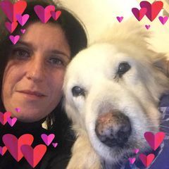 Profile Picture of Nancy.Zollo (@nancy.zollo) on Tiktok