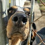 Profile Picture of Kyle MacMillan (@kylejmacmillan) on Instagram