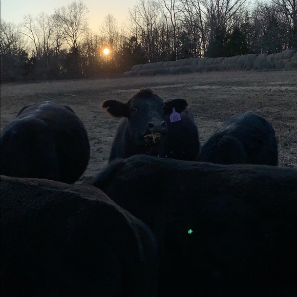 Profile Picture of Owen Swink (@owenswink44) on Poshmark