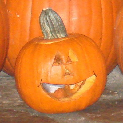 Profile Picture of Steve Dohmen (@Guido113006) on Twitter