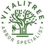 Profile Picture of Vitalitree Charles Grobler (@vitalitree) on Instagram