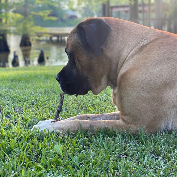 Profile Picture of Samuel Hogue (@asher_dore) on Poshmark