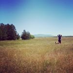 Profile Picture of Jonathon Lee (@jonleept) on Instagram