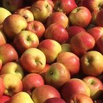 Profile Picture of Tim Needham (@tim.needham) on Instagram