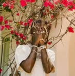 Profile Picture of Danny Richie (@Danny-Richie) on Facebook