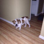 Profile Picture of Skyler Mckenzie Adams (@skybug100) on Instagram