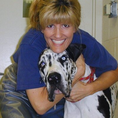 Profile Picture of Mimi Steinschneider (@screamy8) on Twitter
