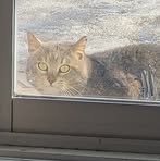 Safie Carrier - Facebook Profile Picture of Safie Carrier (@Safie-Carrier) on Facebook