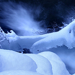 Jason Vandemerwe - Flickr Profile Picture of Jason Vandemerwe (@j_dutch) on Flickr