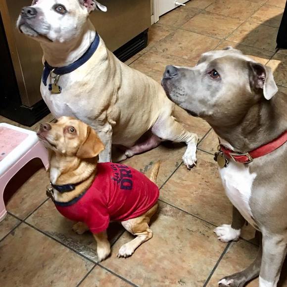 Paulette Bottoms - Poshmark Profile Picture of Paulette Bottoms (@pbottoms18) on Poshmark