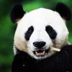 Profile Picture of Tracy Almond (@readsbooks66) on Instagram