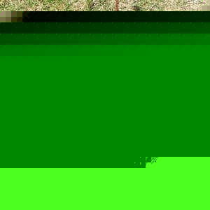 Profile Picture of Kati Kilpatrick (@300876798) on Myspace