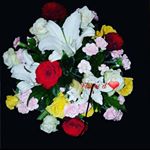 Profile Picture of Charles Gauthier (@charles.gauthier.906) on Instagram