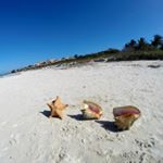 Profile Picture of Carlita Chubocha (@beachyandthebeach) on Instagram