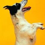 Profile Picture of Cheryl Wallace (@cheryl.wallace.7127) on Instagram