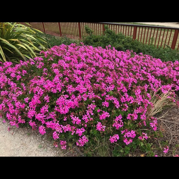 Profile Picture of Minoru Tanahara (@tanoh_706) on Poshmark