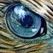 Profile Picture of Nicholas Bovell (@nbovell94) on Pinterest
