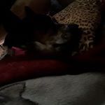 Profile Picture of mark stratton (@markstratton59) on Instagram