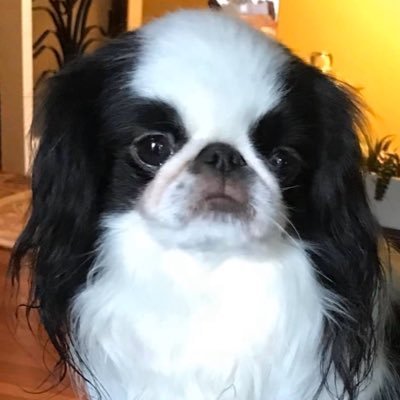 Profile Picture of Bill Gibbard (@williamgibbard) on Twitter