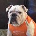 Profile Picture of Bill Blackmon (@wablackm) on Pinterest