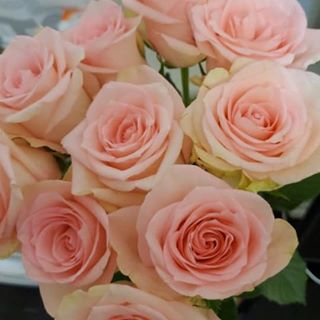 Kit Sin - Facebook Profile Picture of Kit Sin (@kit.sin.7) on Facebook