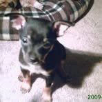 Profile Picture of Joanne Foskey (@joanne.foskey) on Facebook