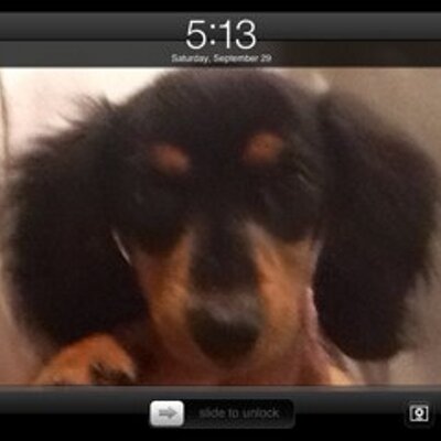 Profile Picture of Jeff Lamberson (@jdl196) on Twitter