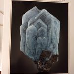 Profile Picture of David DeBruin (@debruin.david) on Instagram