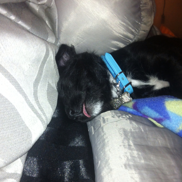 Profile Picture of Martha Baute (@marthabaute) on Poshmark