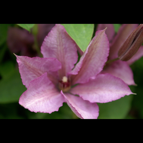 Shelley Foster - Poshmark Profile Picture of Shelley Foster (@shellzbell) on Poshmark