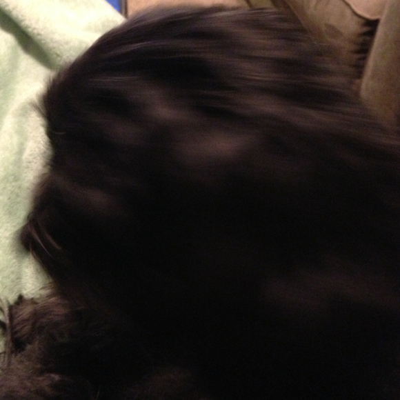 Profile Picture of Lori Guttman (@loriguttman) on Poshmark