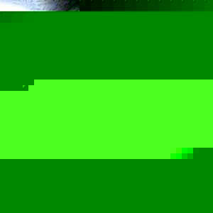 Profile Picture of Mary Ferguson (@marilynn92) on Myspace