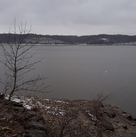 Profile Picture of Robert Booth (@robertbooth554) on Poshmark