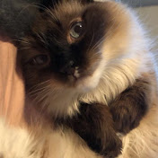 Profile Picture of Mackenzie Byrd (@mackenziebyrd8760) on Youtube