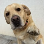 Profile Picture of Richard Lašak (@richard.lasak.96) on Facebook