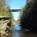 Profile Picture of brandon weber (@brandonweber335) on Instagram