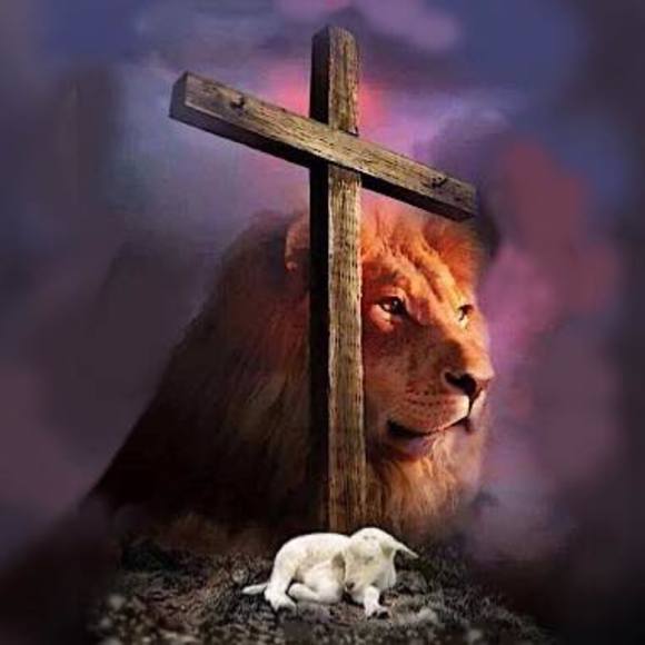 Profile Picture of Gil Rodriguez (@gilrod49) on Poshmark